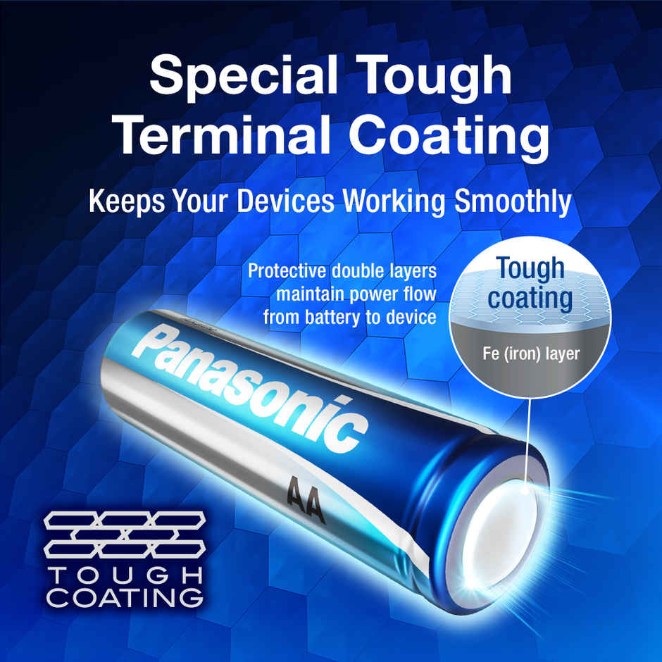 Panasonic Evolta Yuva AA Alkaline Battery