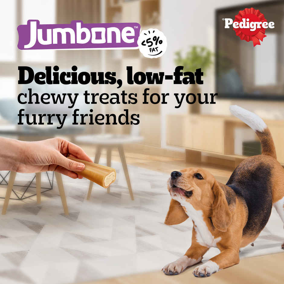 Pedigree Adult Jumbone Chicken & Lamb Flavours Dog Treats