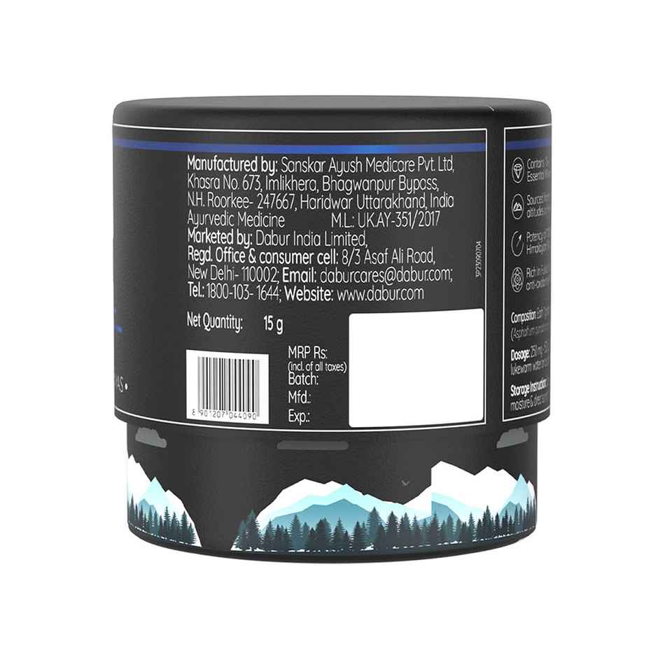 Dabur Himalayan Shilajit Resin | Natural Health Support