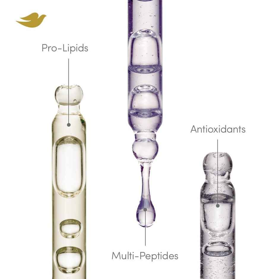 Dove Scalp+Hair Therapy Density Boost Reinforcing Hair Serum With 1% Prolipids & Multipeptides