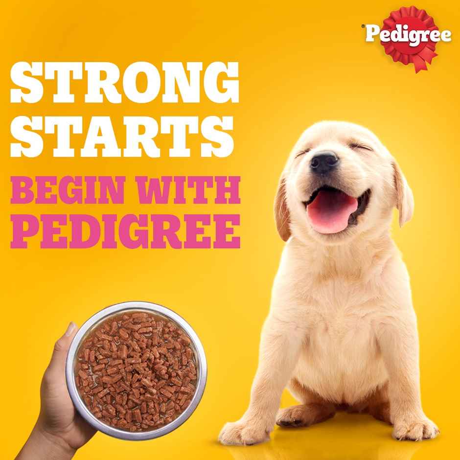 Pedigree Puppy Lamb Flavour Chunks In Gravy Wet Dog Food