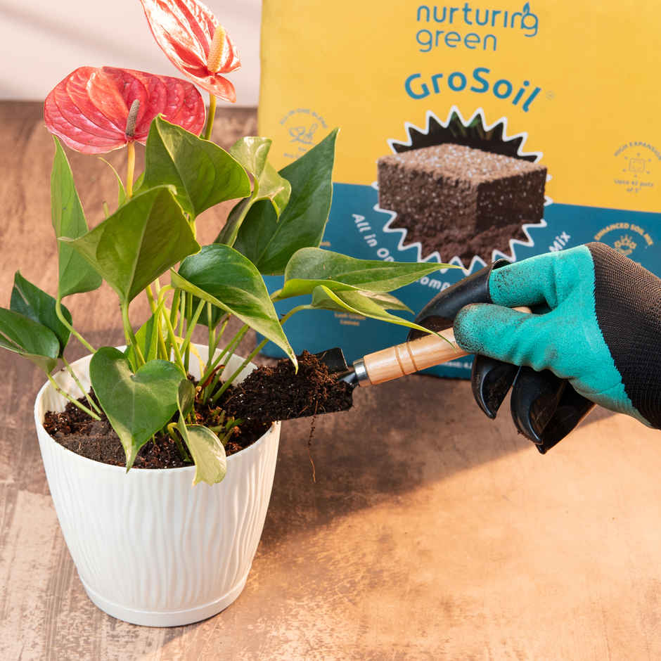 Nurturing Green - GroSoil | 4.2kg block | All-in-One Potting Soil for Plants | Potting Soil Mix