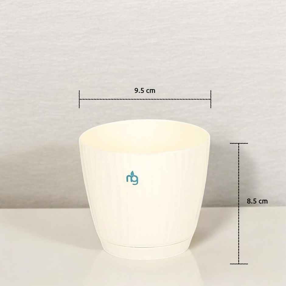 Nurturing Green - Self Watering Pots for Plants | Set of 10 | Ivory | Size: 9.5cm x 8.5cm