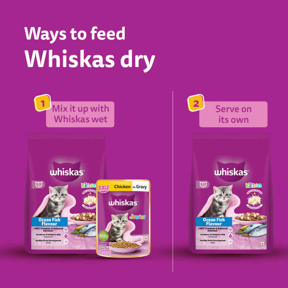 Whiskas Kitten Dry Cat Food | 2 to 12 Months | Ocean Fish