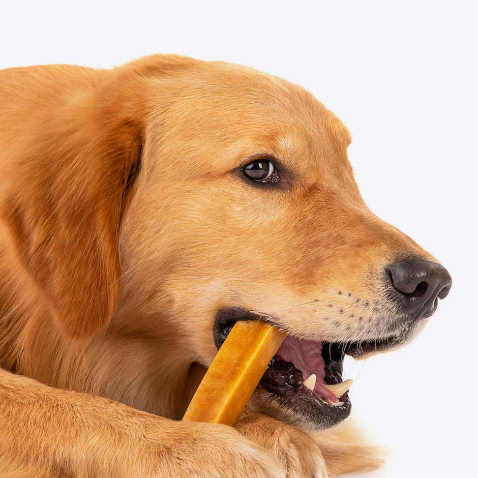 HUFT Yakies Chew Bone Dog Treat, SmallMono Carton