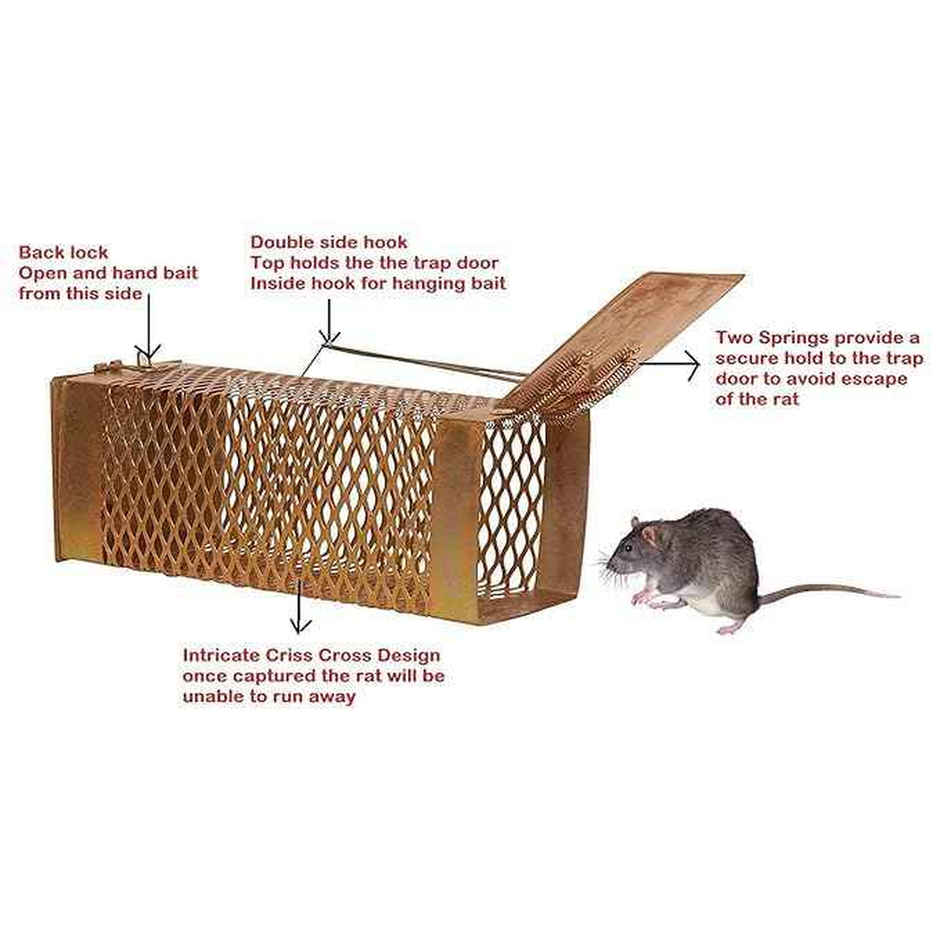Chipku Medium Size Rat/Mouse Trap Cage For Home, Kitchen & Garden| Reusable Rat Trap