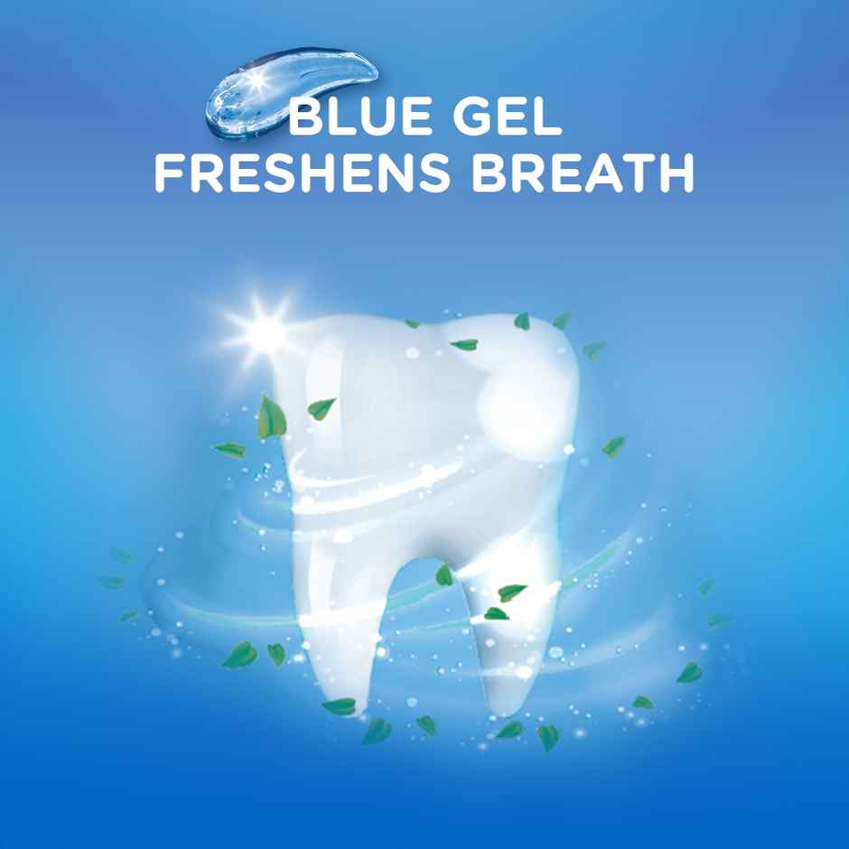 Pepsodent 2 In 1 Germ Fighting Formula Combo 