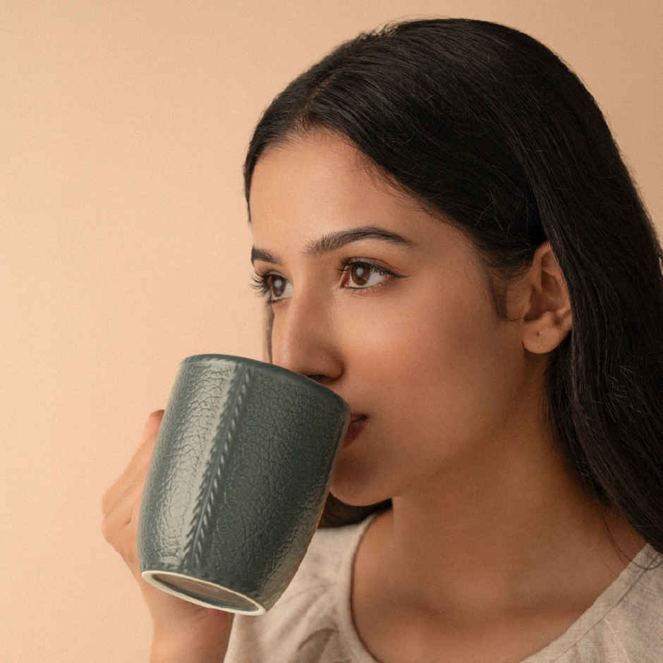 Borosil Porcelia Elva Slate Tea Coffee Porcelain Mug Set Microwave Dishwasher Safe