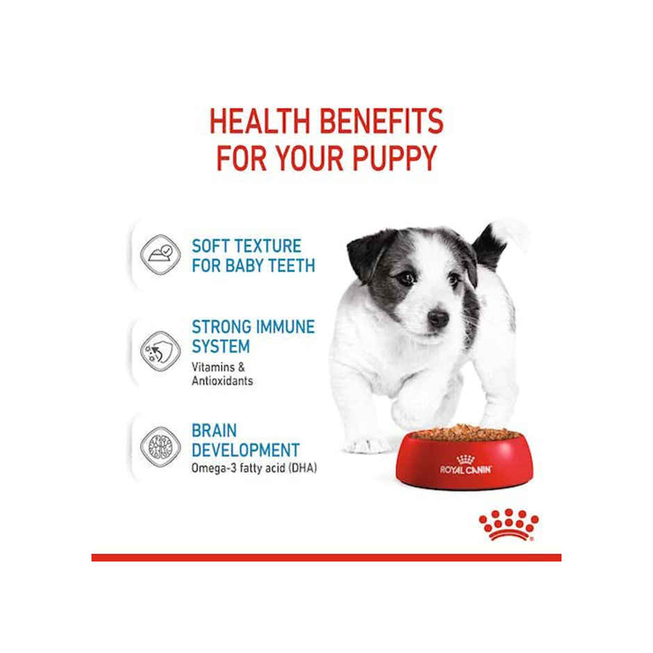 Royal Canin Mini Puppy Dog Wet Food