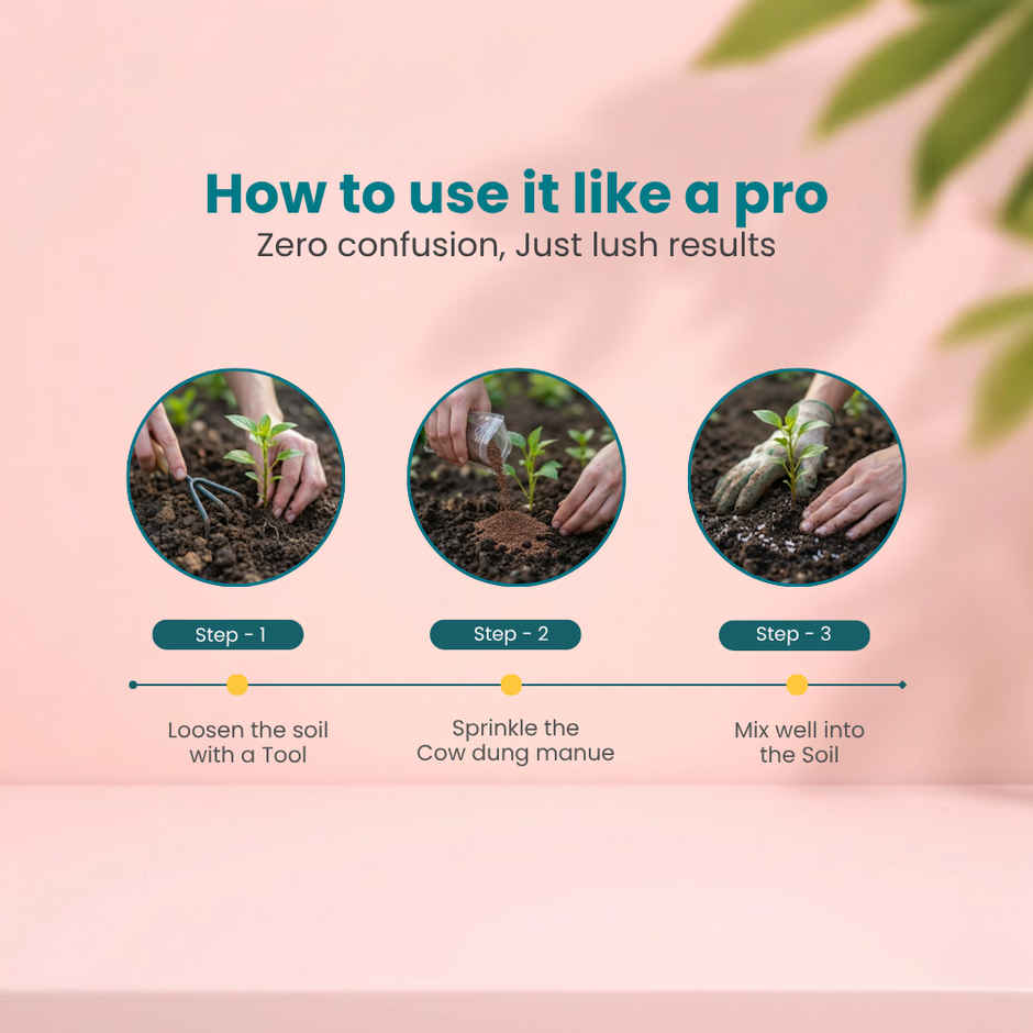 Zamia Cow Dung Manure | Natural Organic Compost for Pots & Garden | By Nurturing Green
