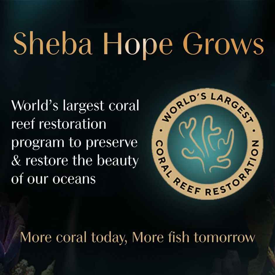 Sheba Fine Adult Chicken with Tuna in Gravy Wet Cat Food