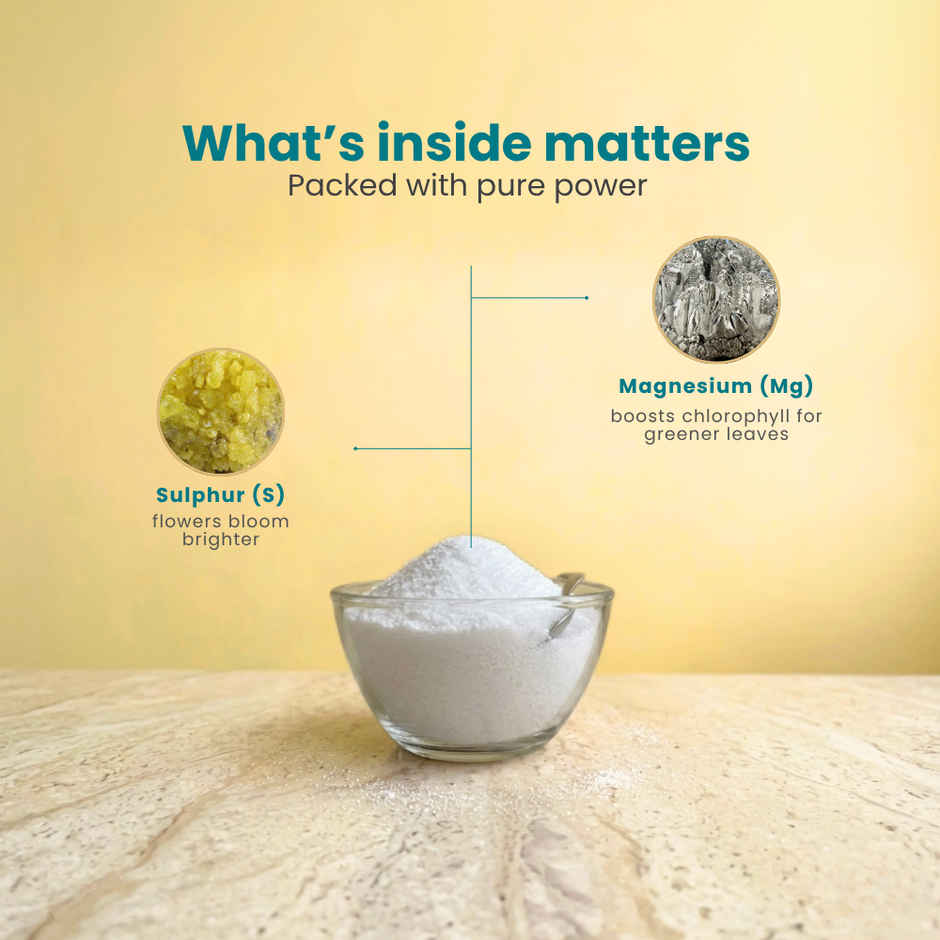 Zamia Epsom Salt | Magnesium Sulphate for Leaf Greening & Root Growth | By Nurturing Green