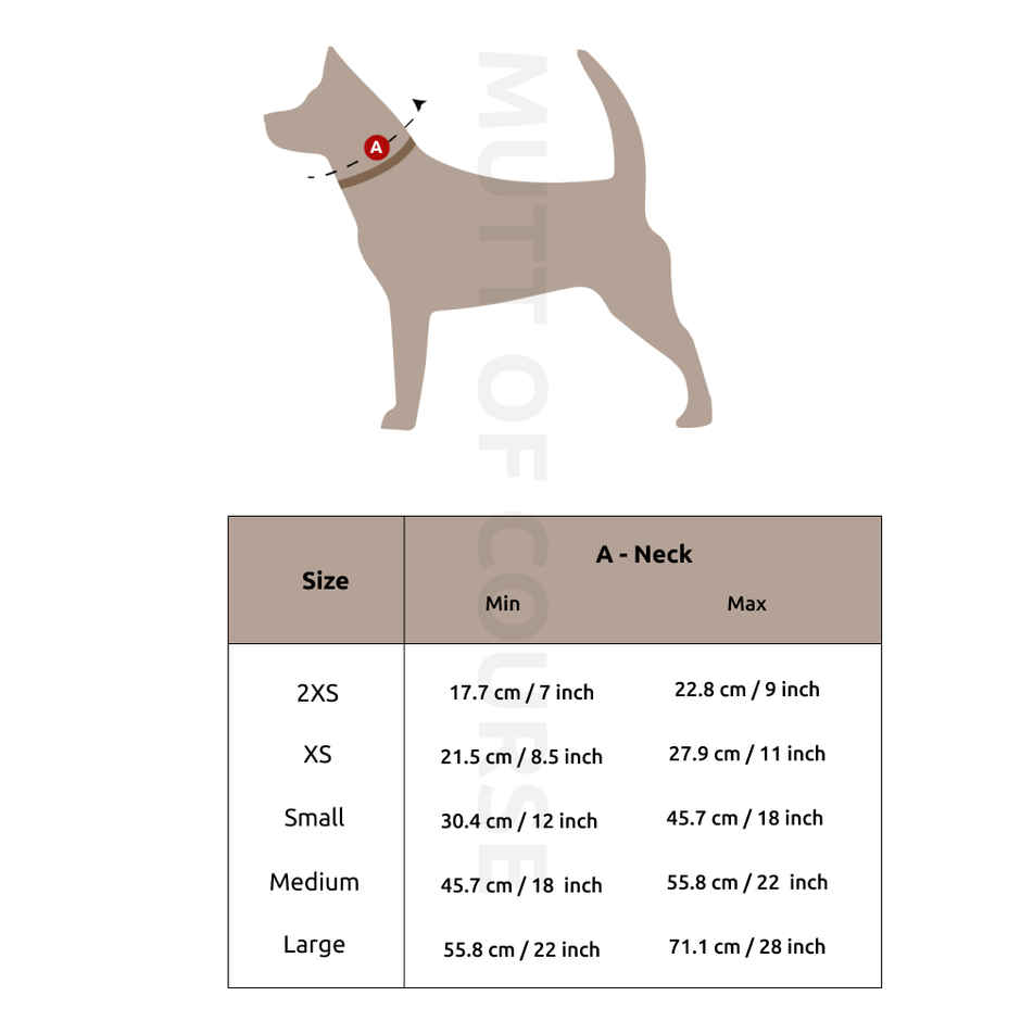 Mutt Of Course Royal Elephant Theme - Cat Collar 2Xs