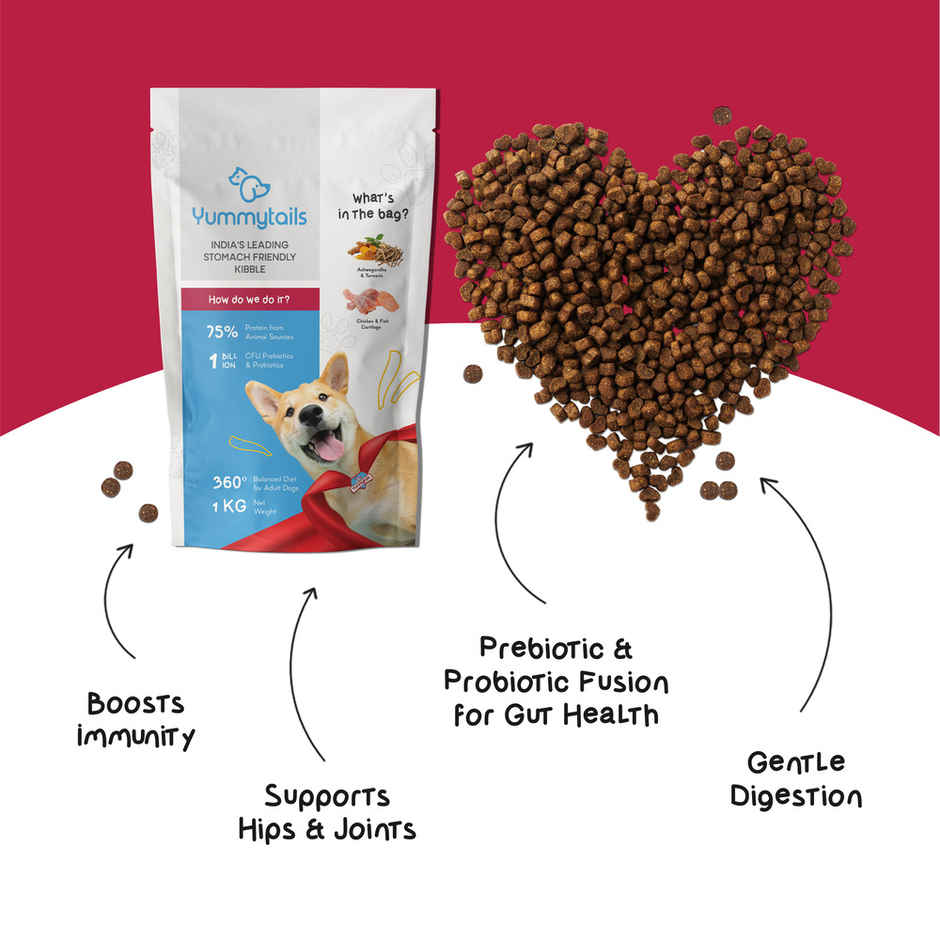 Yummytails Adult Dog Food Dry Kibble | 75% Chicken and Fish Protein Combo