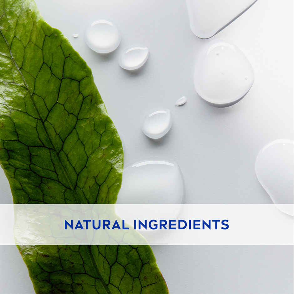 Nivea Lip Balm Original Care for 24h Moisture with Shea Butter & Natural Oils