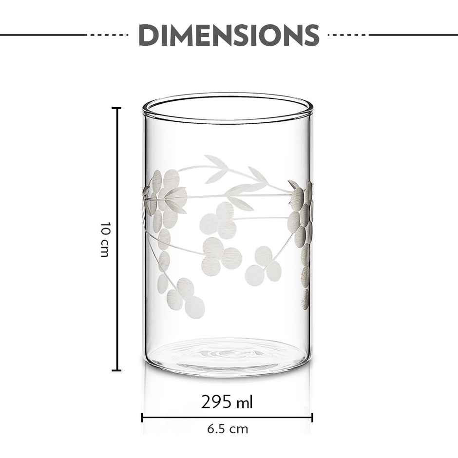 Borosil 6 Pcs Borosilicate Berry Cut Design Transparent Drinking Glass | 295 ml