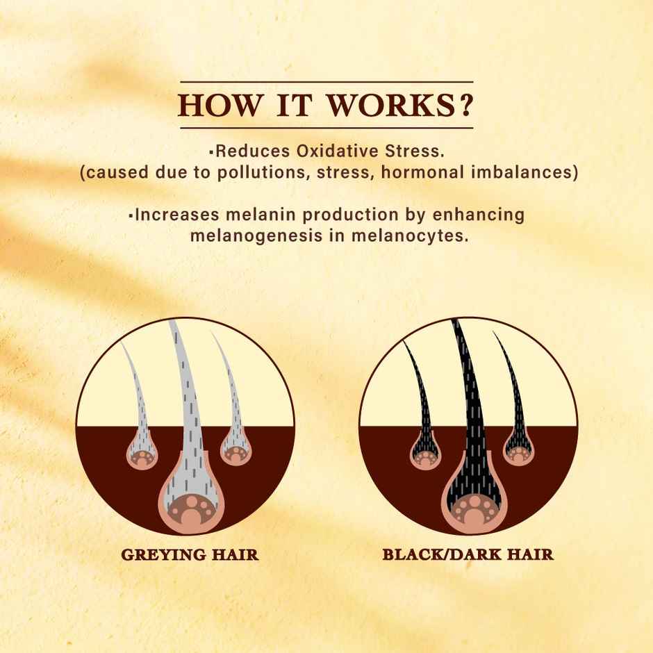Indulekha Jatamansi Premature Greying Treatment Scalp Serum
