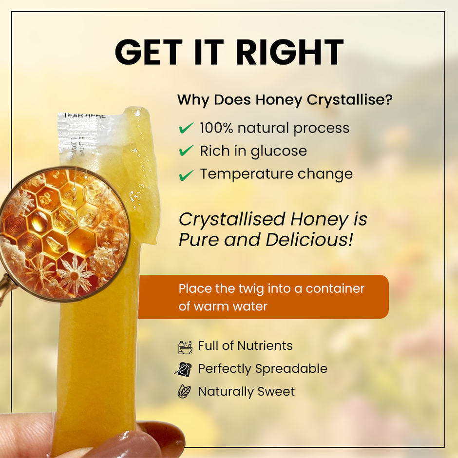 Honey Twigs Ginger Infused Honey | 30 Twigs Pack