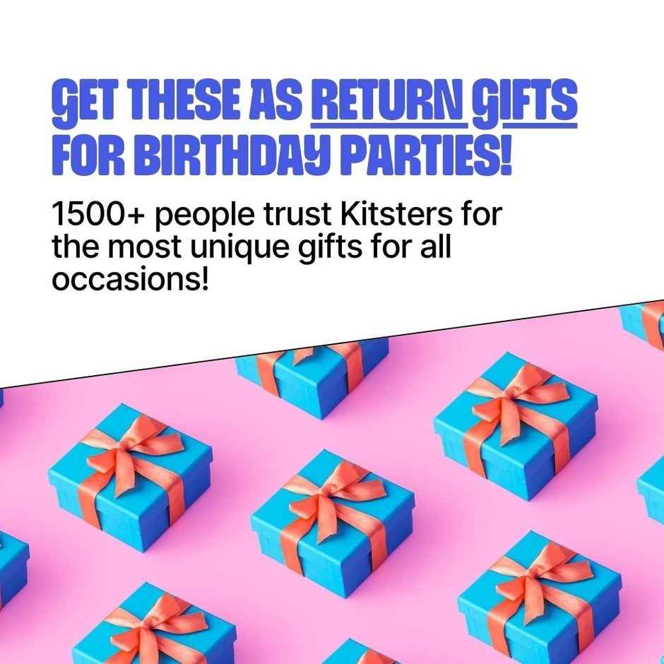 Kitsters DIY Pebble Pet Kit