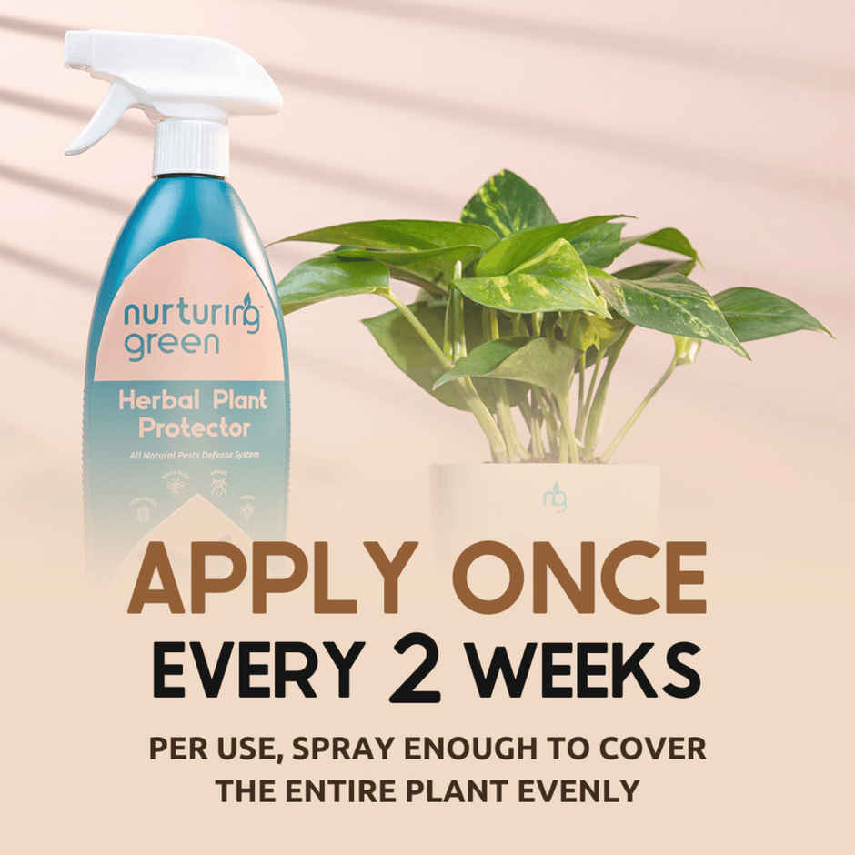 Nurturing Green - Herbal Plant Protector | 650ml | Plant Spray Bottle with Neem Oil for Plant Care