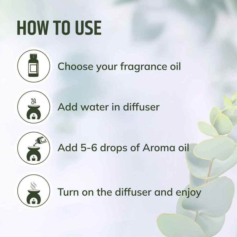 Aromahpure Fragrance Oil | Eucalyptus