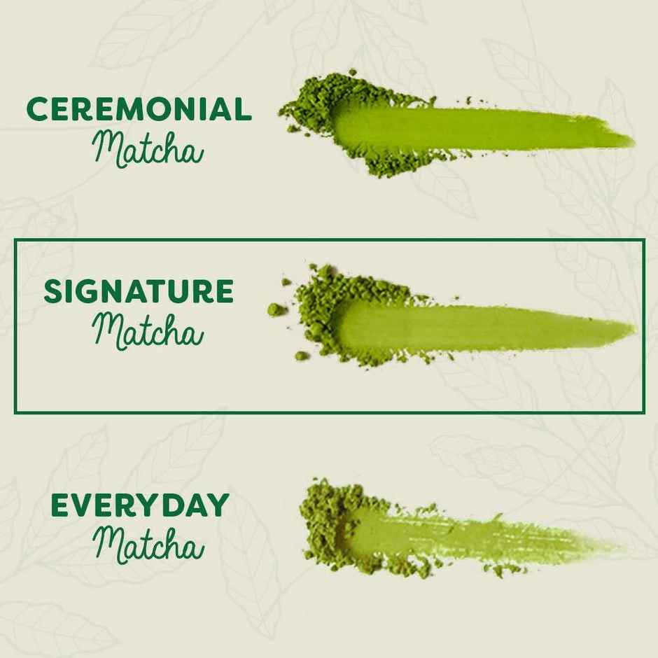 Bree Matcha Signature Matcha