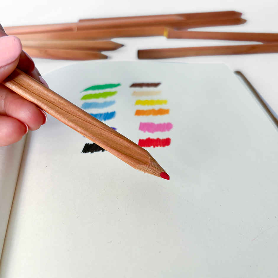 Camel Clover Pencil Colors with Sharpner