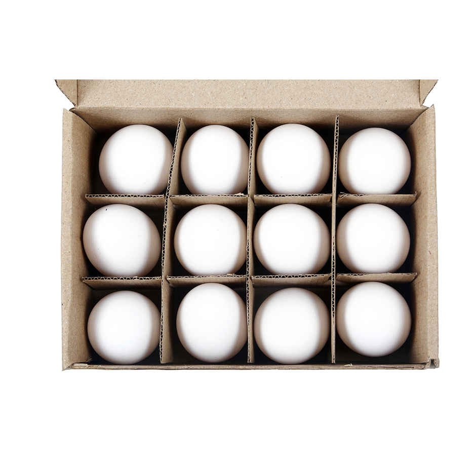 Egg First White Eggs