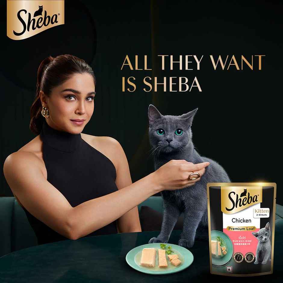 Sheba Fine Kitten Chicken Premium Loaf Wet Cat Food