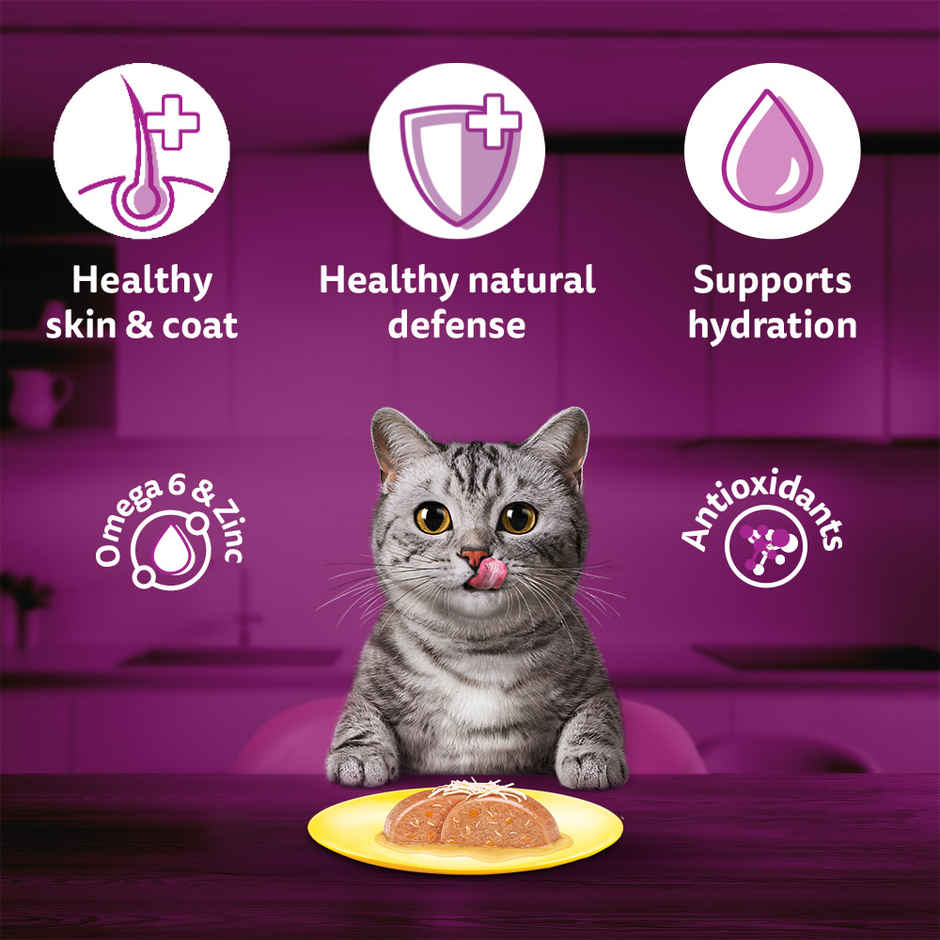 Whiskas Adult Wet Cat Food Chicken and Salmon in Jelly