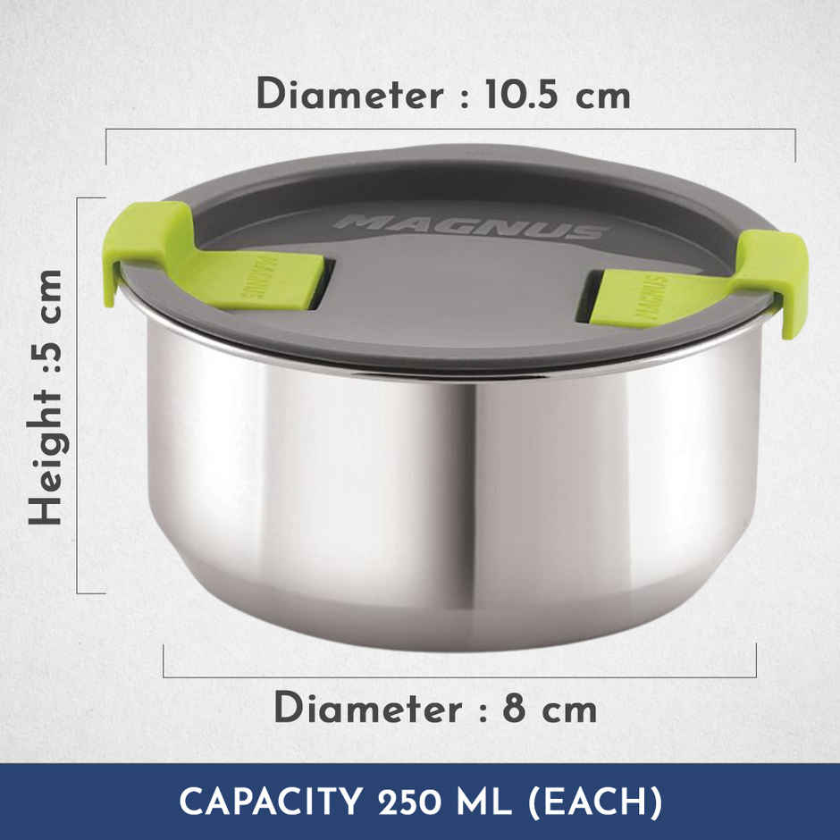 Magnus Olive 4 Lunchbox With Leak-Proof Steel Containers for School with Insulated Bag | 1730 ml