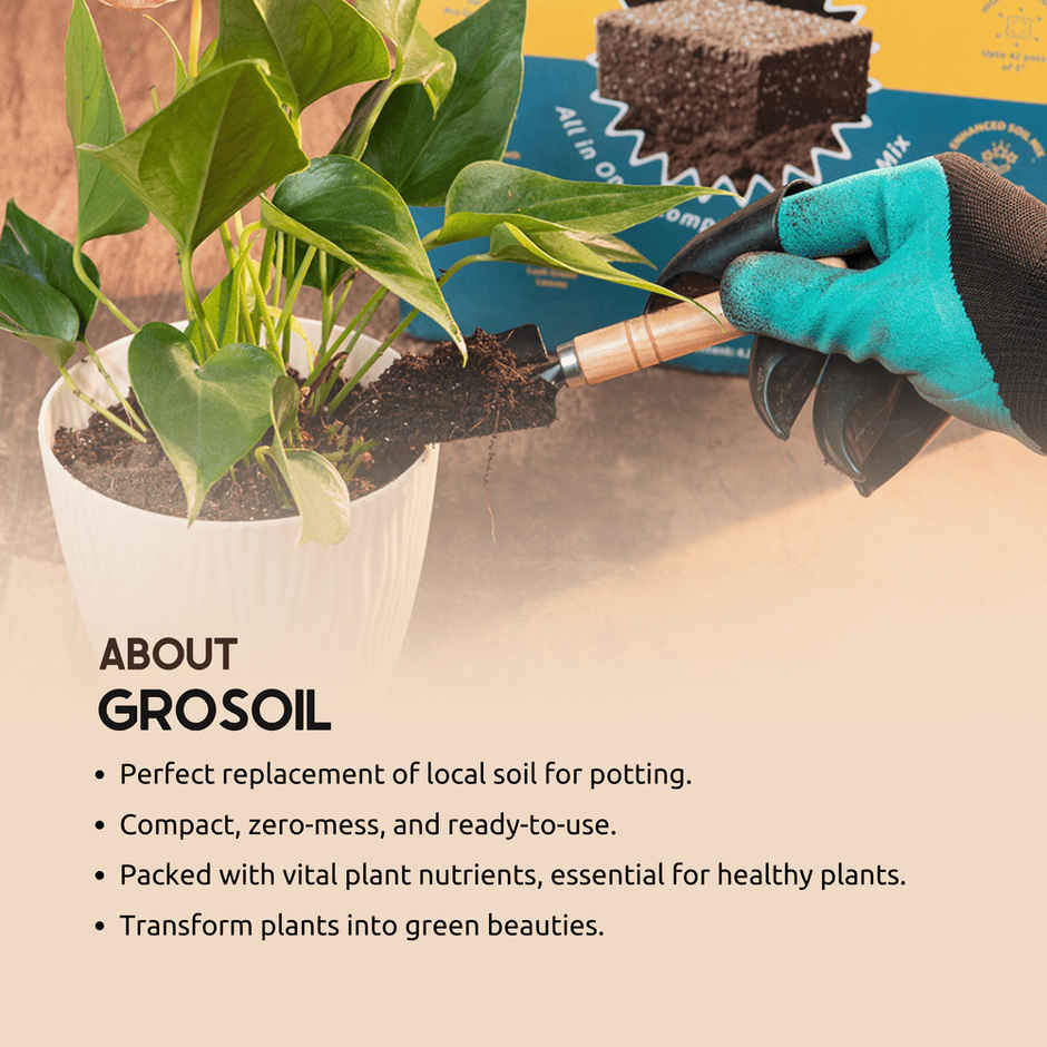 Nurturing Green - GroSoil | 4.2kg block | All-in-One Potting Soil for Plants | Potting Soil Mix