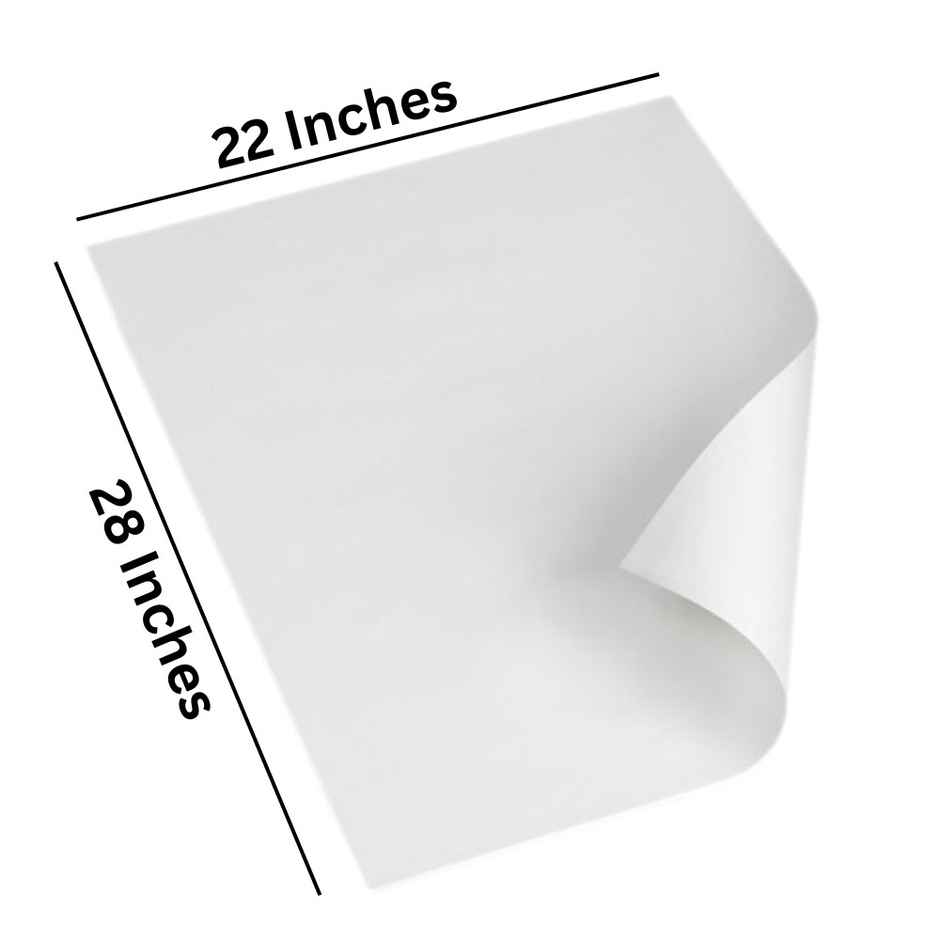 Chart Papers - Premium Quality | 22 x 28 in | White | A1