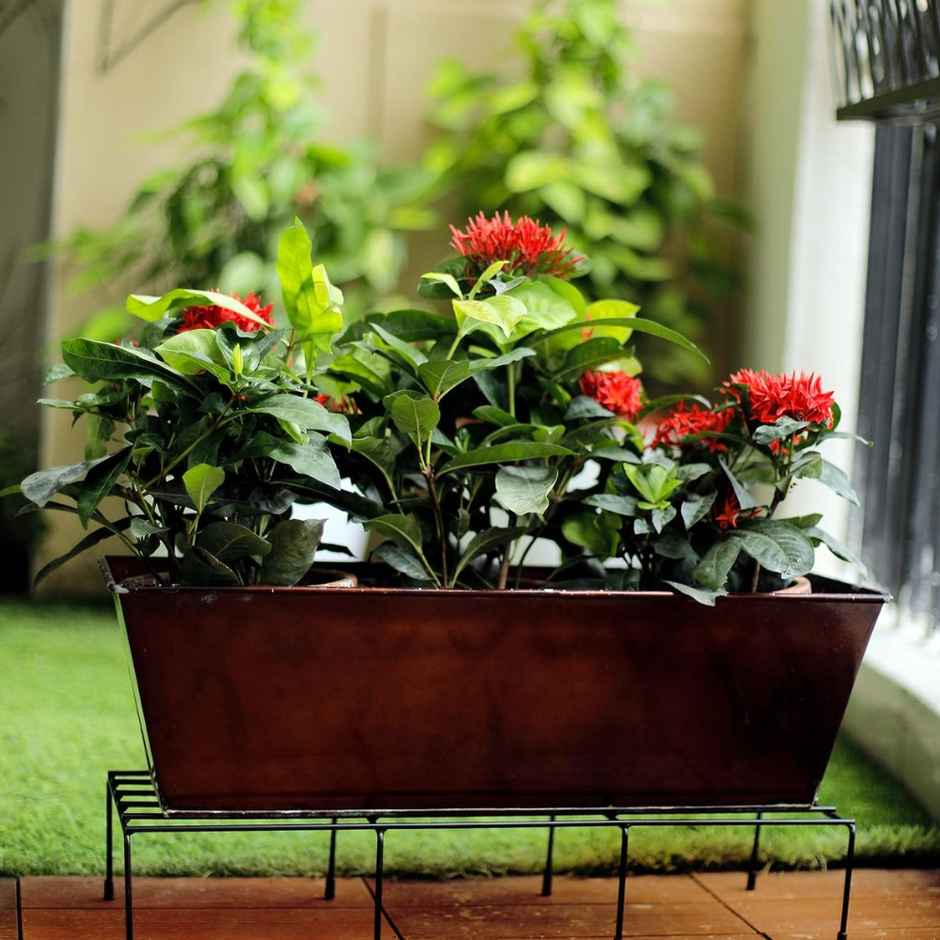 Nurturing Green - Metal Plant Stands for Home & Balcony | Black | Set of 3 | Size: 24Inch x 8.5Inch