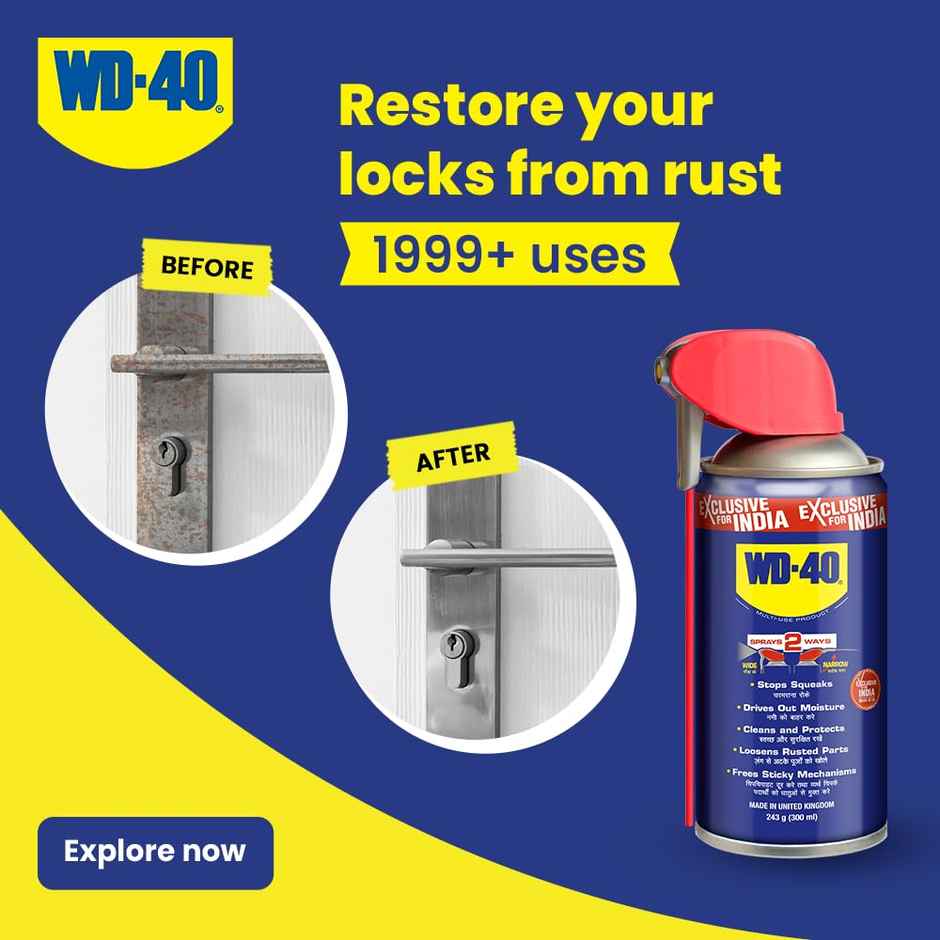 WD-40 Smart Straw 300ml | Multipurpose Spray for Rust Removal, Cleaning & Lubrication