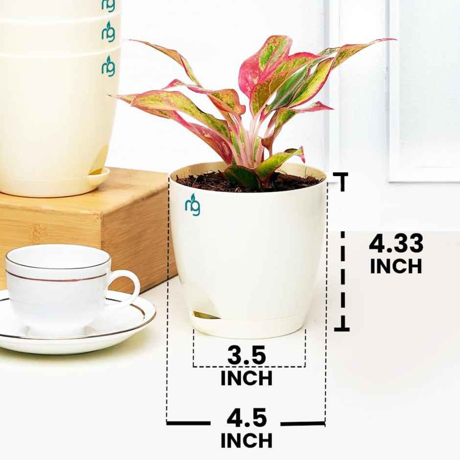Nurturing Green - Self Watering Pots for Plants | Set of 10 | Ivory | Size: 11.5cm x 11cm