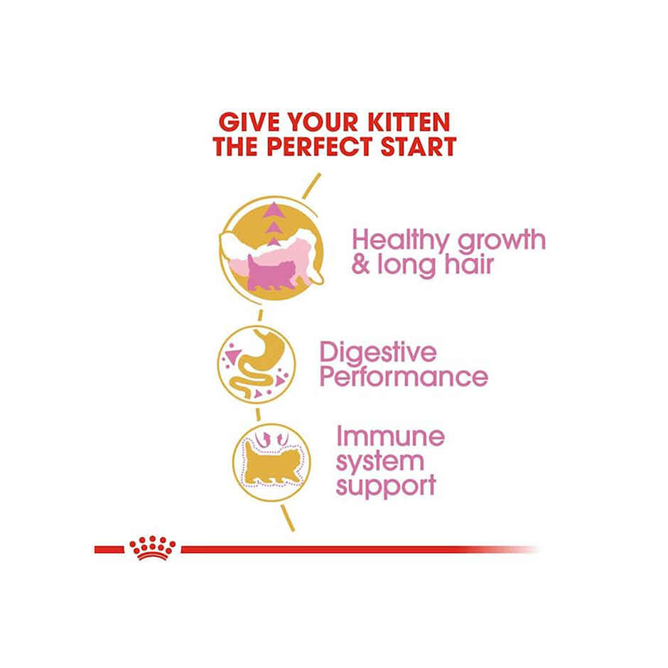 Royal Canin Persian Kitten Cat Dry Food