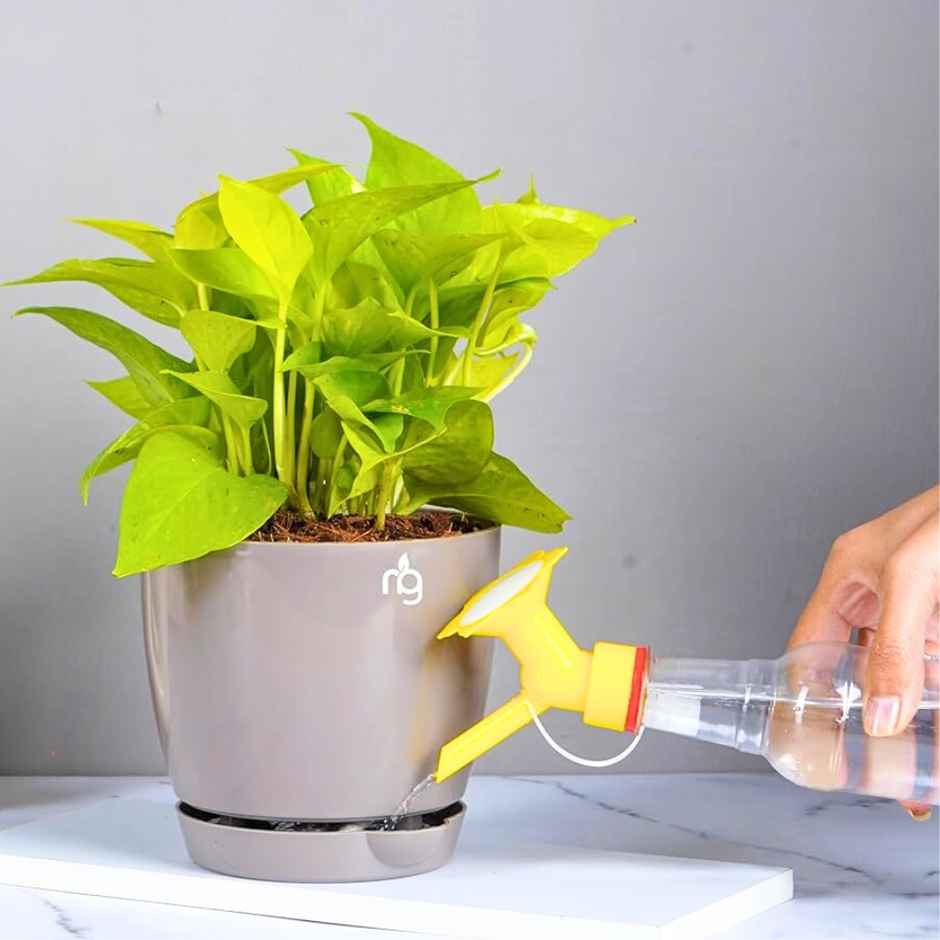 Nurturing Green - Mocha Self Watering Pots for Plants | Set of 10 | Size: 14cm x 12.5cm