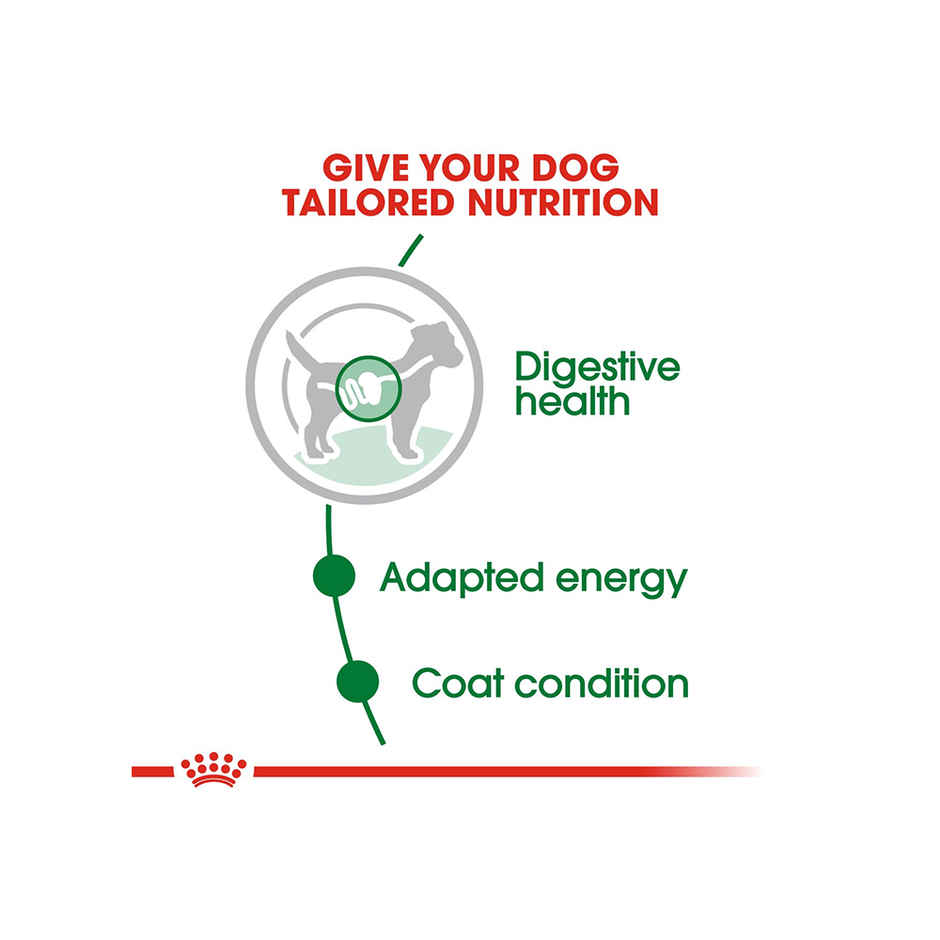 Royal Canin Mini Adult Dog Wet Food