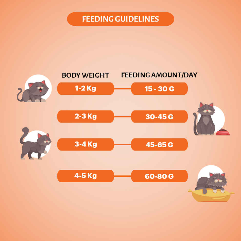 Grain Zero Mackerel, Adult Dry Cat Food, 1.2 Kg + Free Cat Creamy Treat 75 g