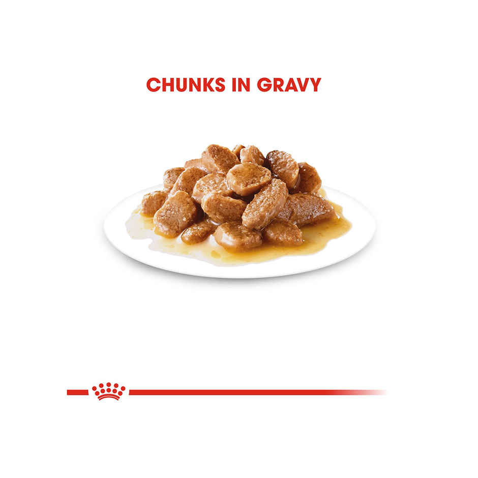 Royal Canin Mini Adult Dog Wet Food Combo