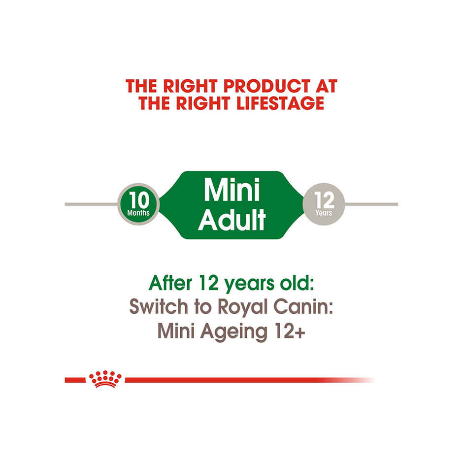 Royal Canin Mini Adult Dog Wet Food Combo