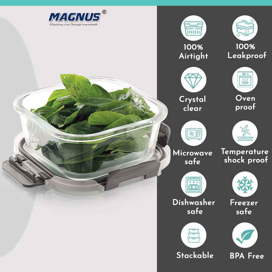 Magnus Glock 520 ml Square Grey Container with Airtight Lid & Detachable Lock, Borosilicate Glass