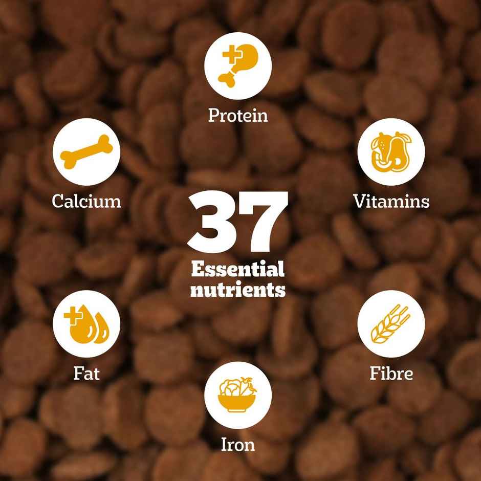 Pedigree Puppy Chicken & Milk Dry Dog Food