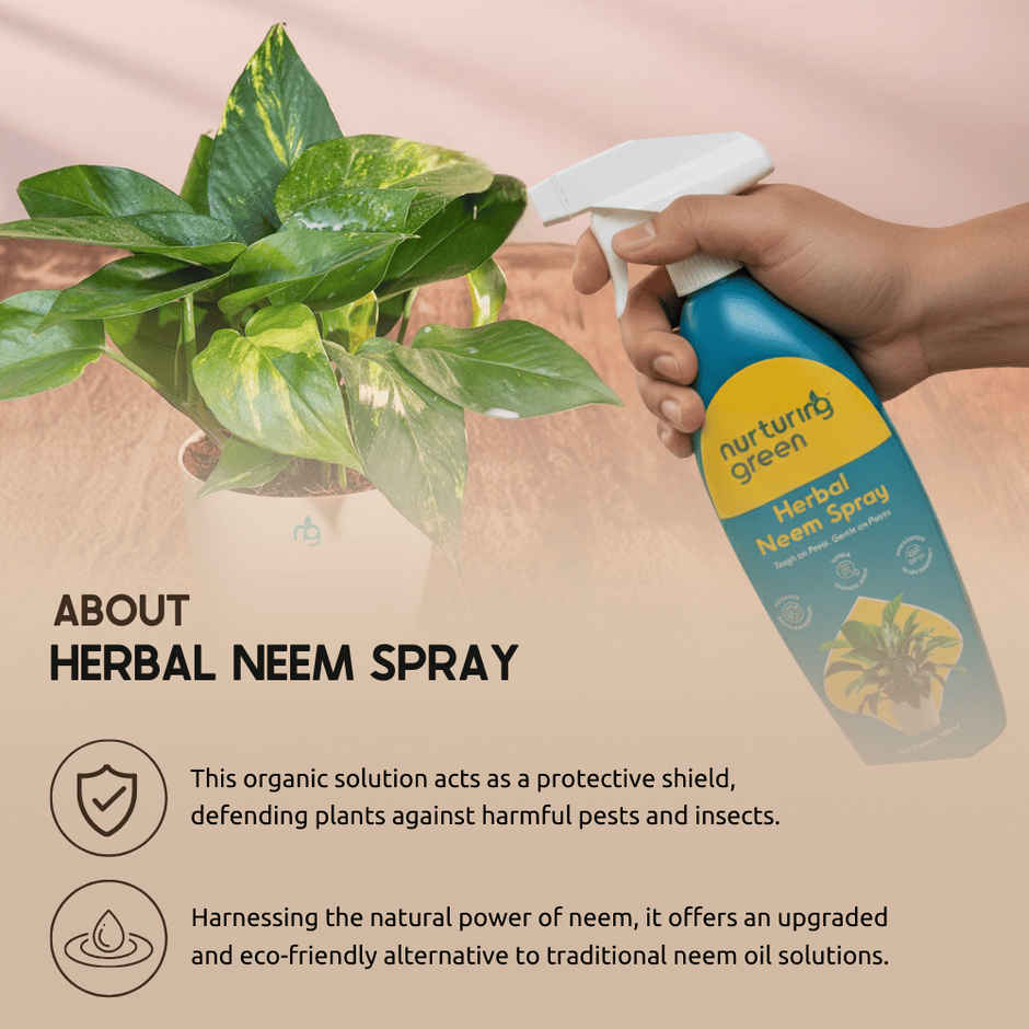 Nurturing Green Herbal Neem Spray | Organic Solution for Pests in Home & Balcony Plants