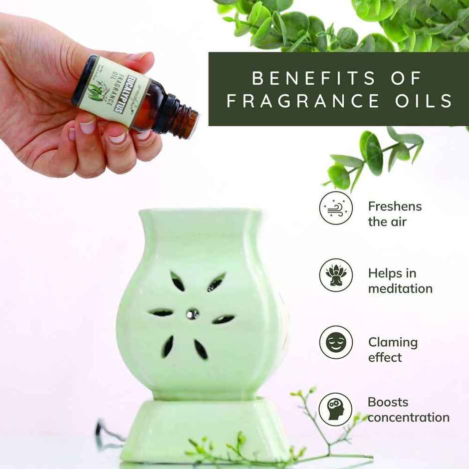 Aromahpure Fragrance Oil | Eucalyptus