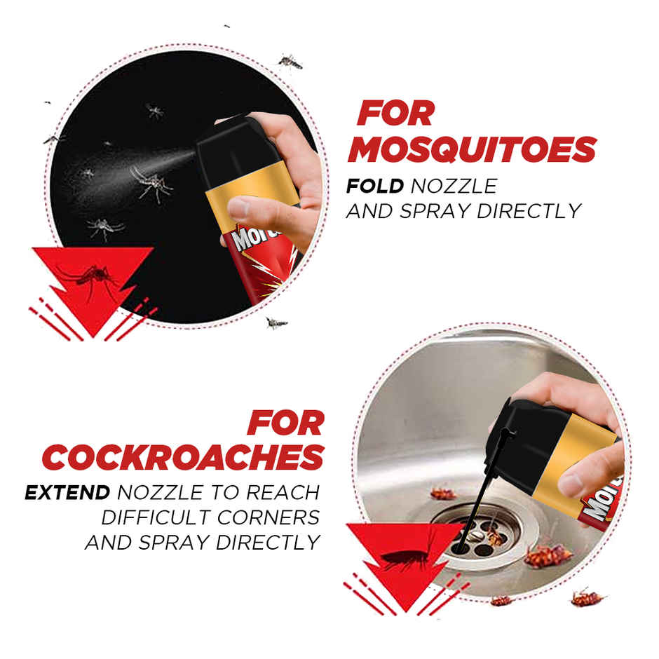Mortein 2 in 1 Insect Killer Spray | Mosquito & Cockroach Killer