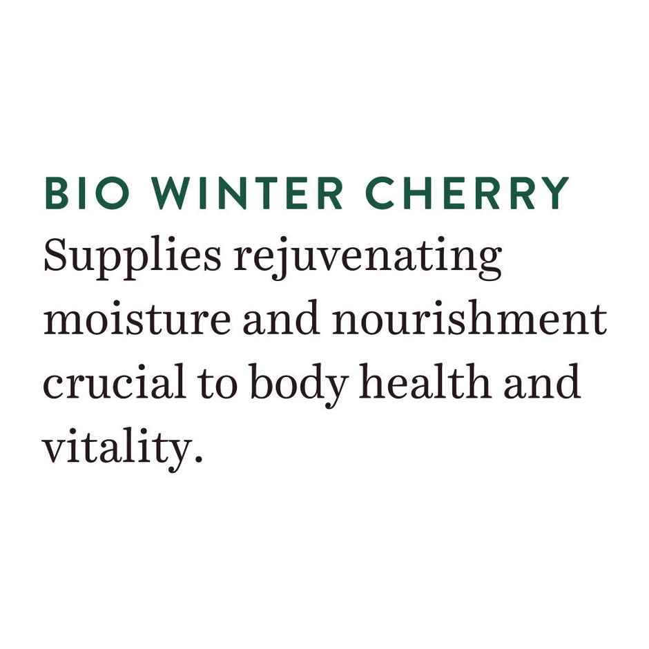 Biotique Winter Cherry Rejuvenating Body Lotion