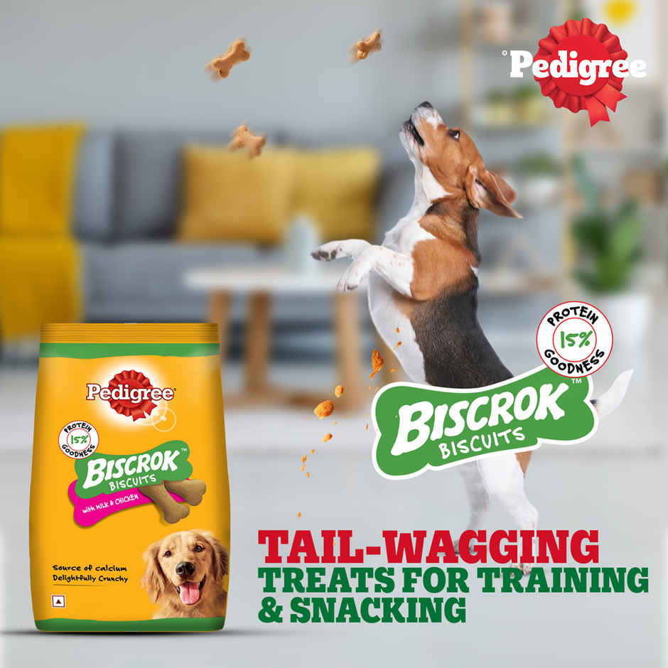 Pedigree Biscrok Milk & Chicken Flavour Dog Biscuits