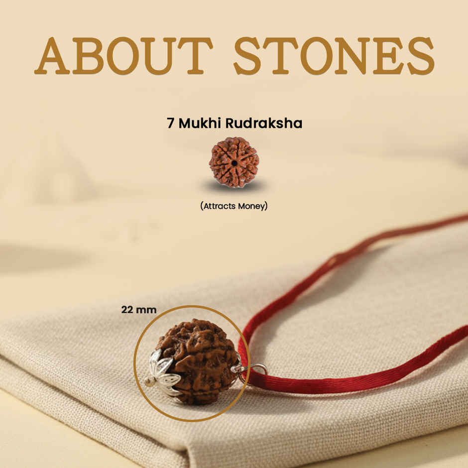 7 Mukhi Rudraksha Pendant | Spiritual Jewellery | Astroyogi